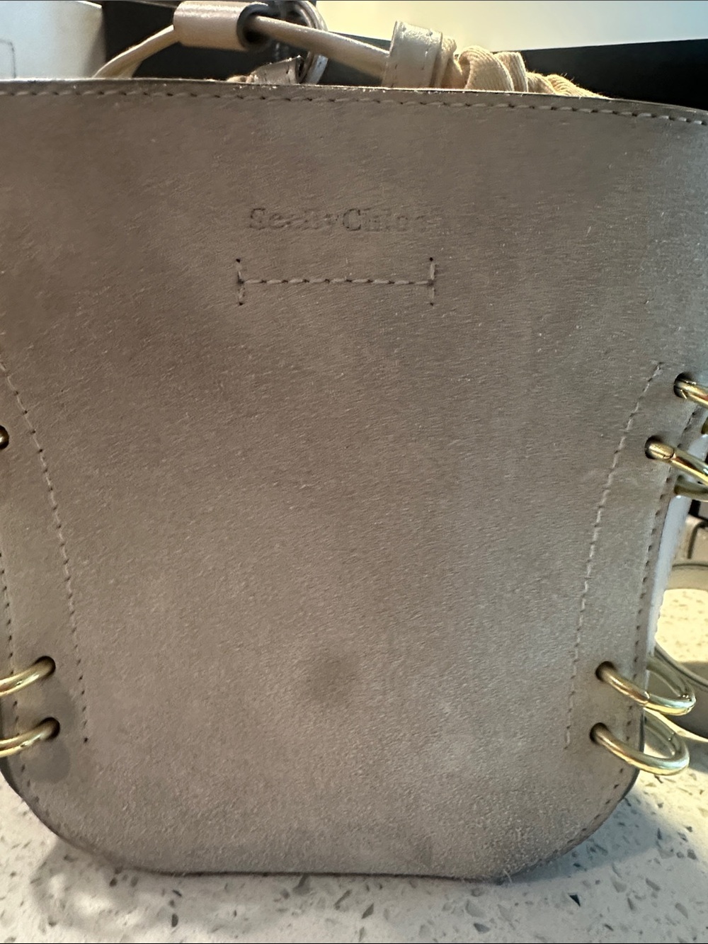 See By Chloe Gray Leather Drawstring Crossbody with Gold Accents - Picture 4 of 17